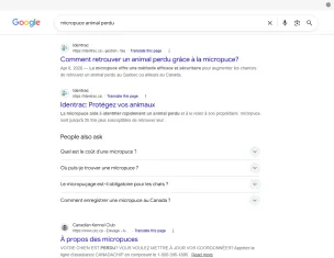 Site web SEO