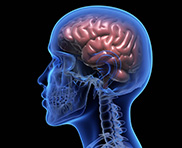 Conception de site web pour votre domaine psychologist
