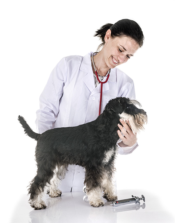 Positionnement Google d’un site web health